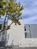 Bureaux SÉRIÈS PEINTURES, mur en béton brut et bardage ondulé gris, branche d'arbre au premier plan