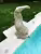 Bastide Craponne, dauphin en pierre au bord de la piscine